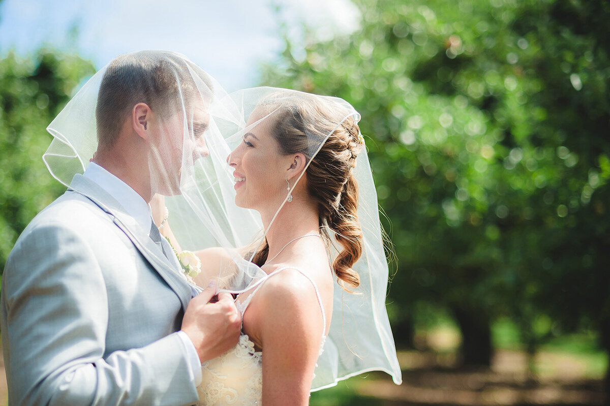 bride and groom under veil