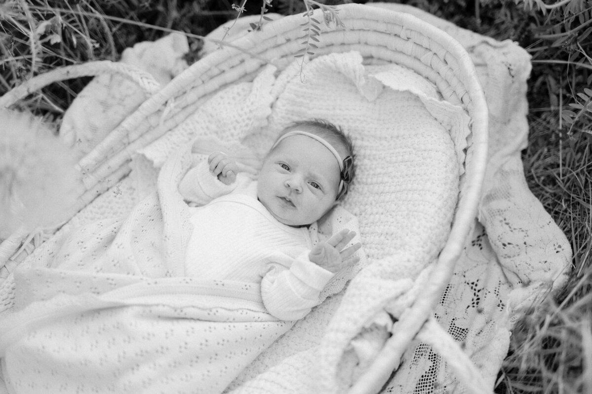 newborn-photos-seattle-84