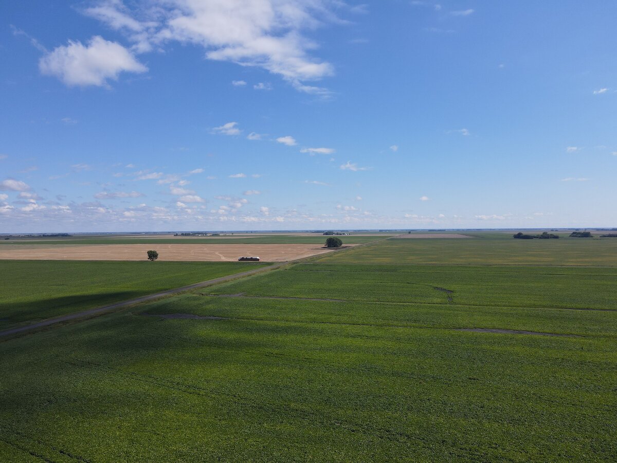 DJI_0887