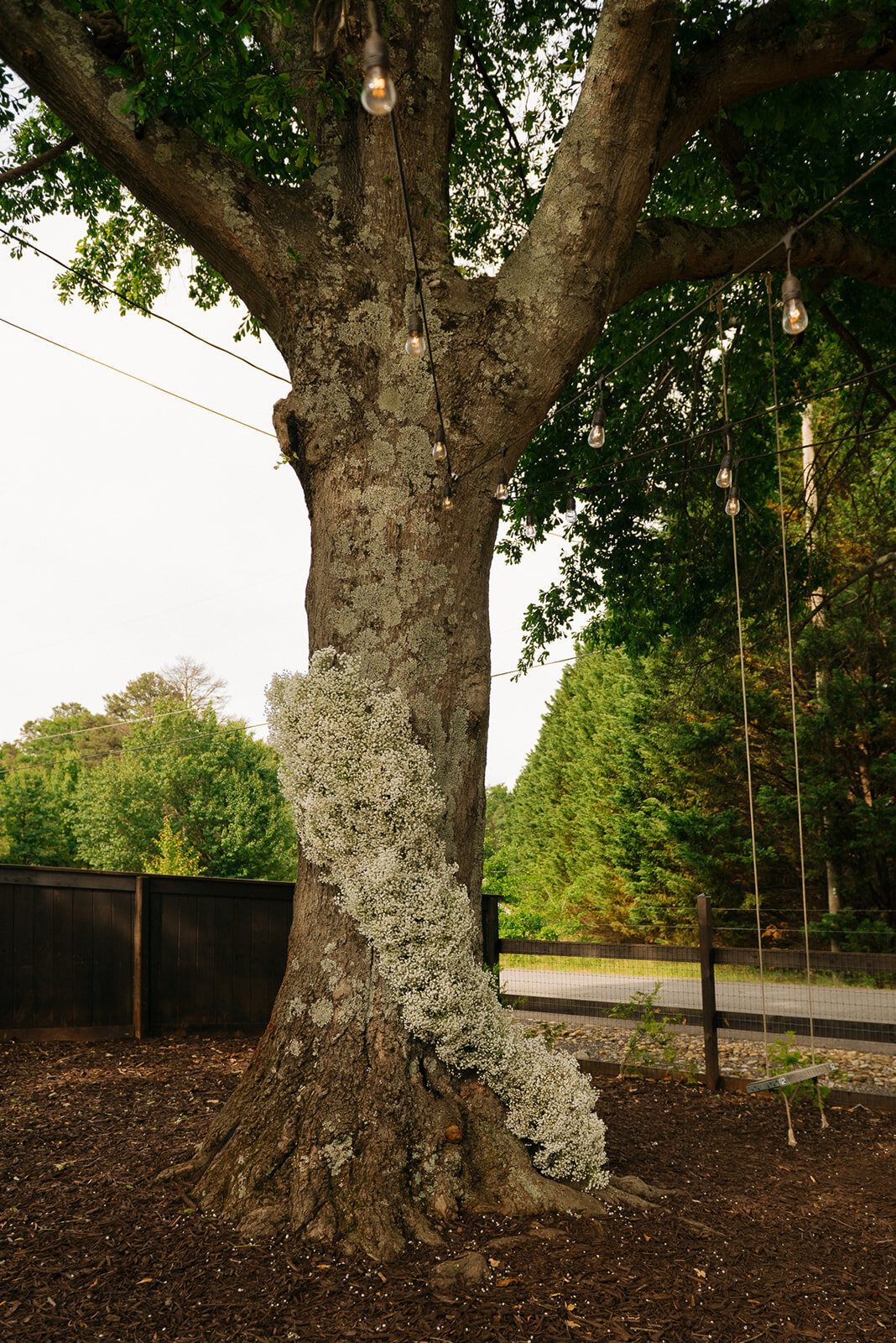 MCP_wedding-341