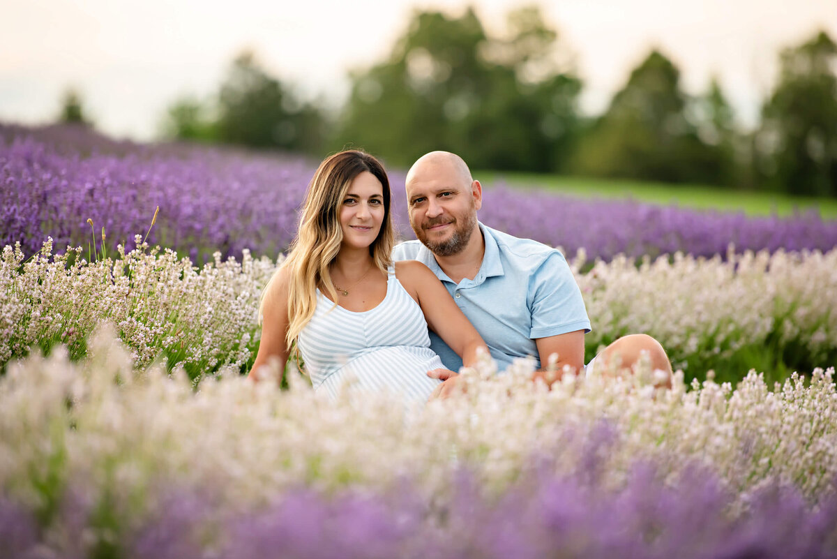 mom and dad sitting amongst the lavender for her maternity session