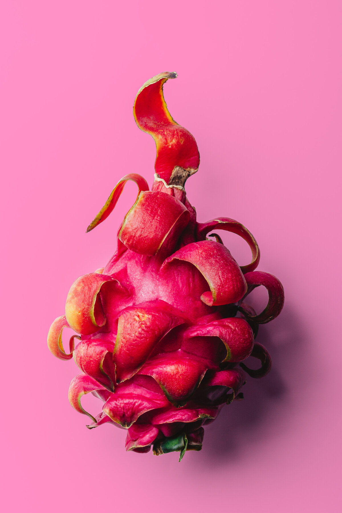 Dragon Fruit Coloricious Food Photography