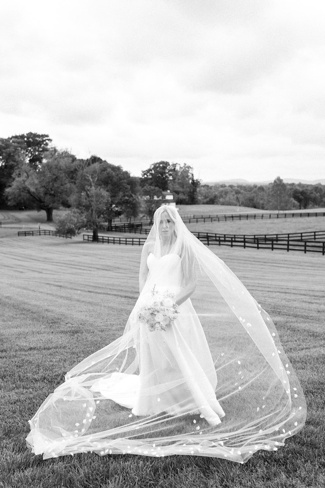 Elizabeth and Brian Wedding-790