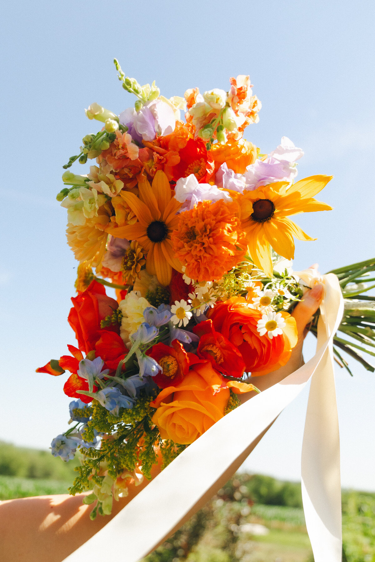 Zach & Abbie Married535
