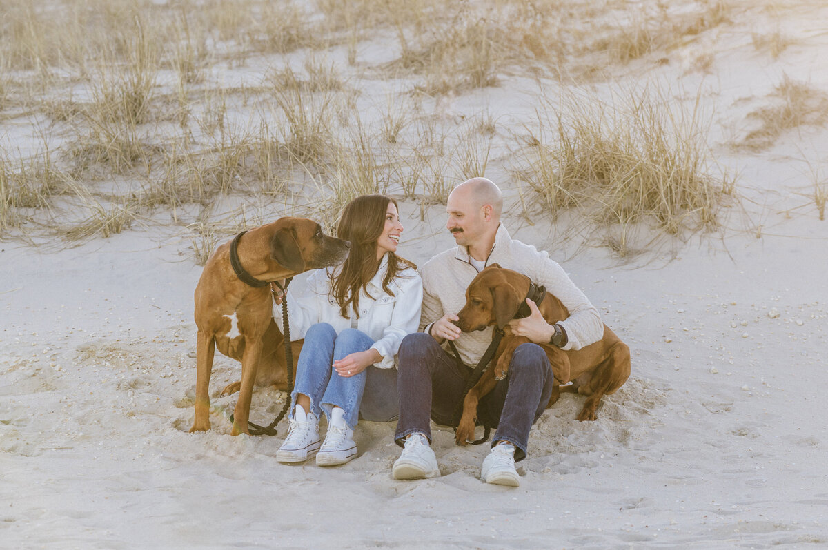 beach-dog-photos-nj