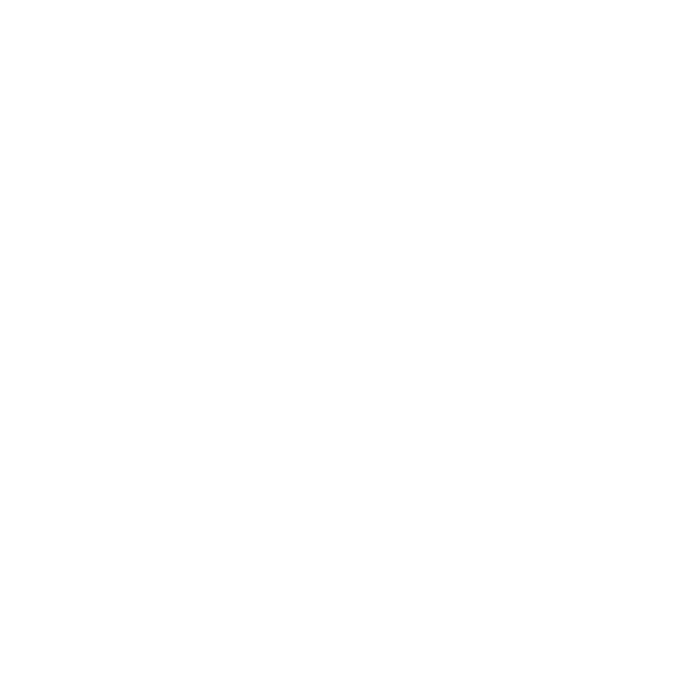 Studio-Four-10-Brand-and-Website-Design-Kelsey-Lenzmeier7