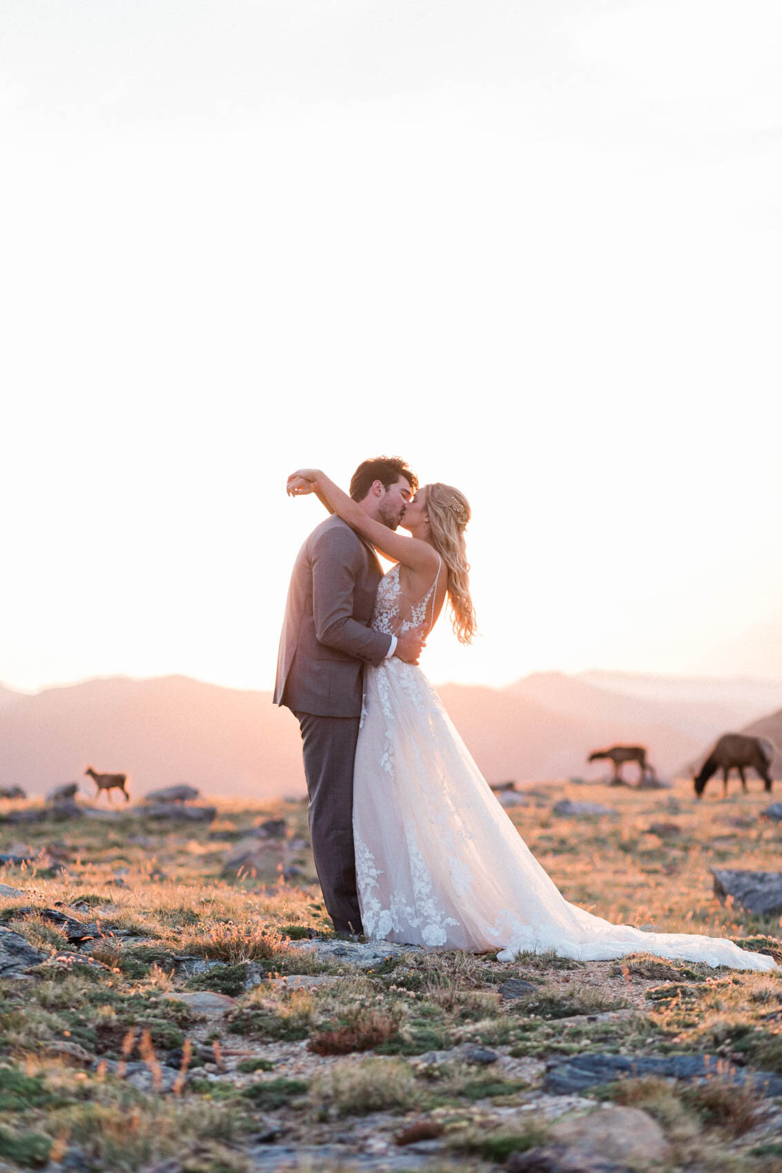 rocky_mountain_national_park_trail_ridge_road_summer_sunrise_elopement_by_colorado_wedding_photographer_diana_coulter-13