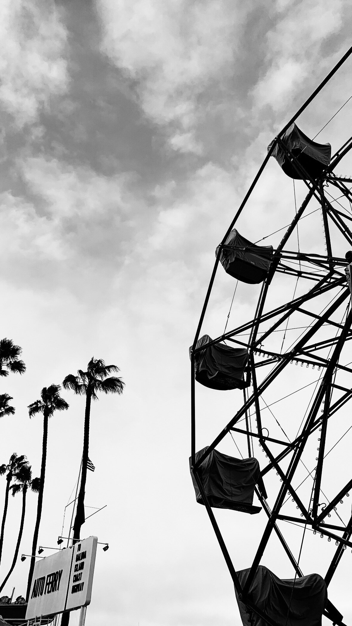 Ferris Wheel and Palm Trees pictured by AMALYN @amalynstyle and @amalynsocial 
