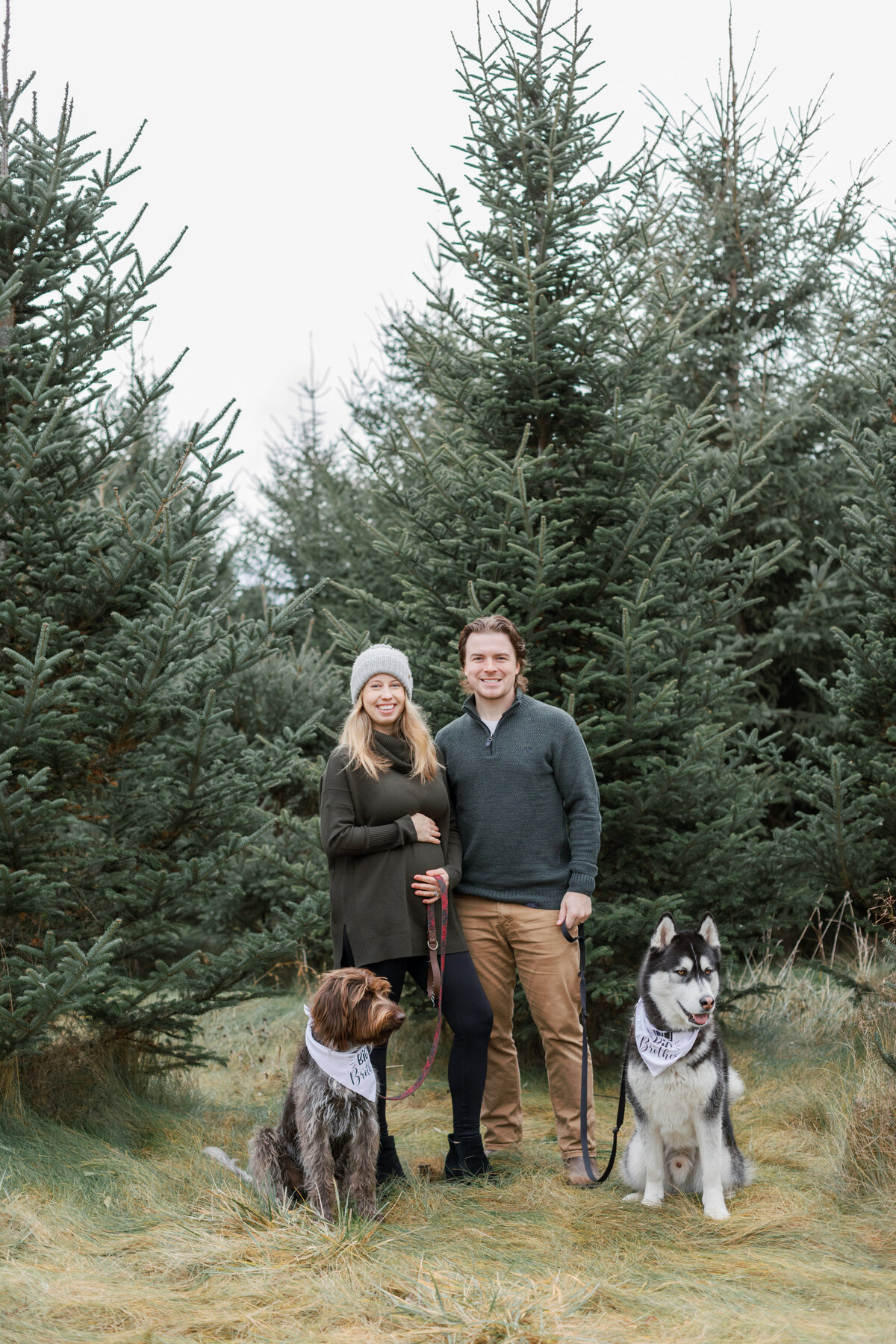 Emilia & Connor Maternity Tree Farm Minis - 3
