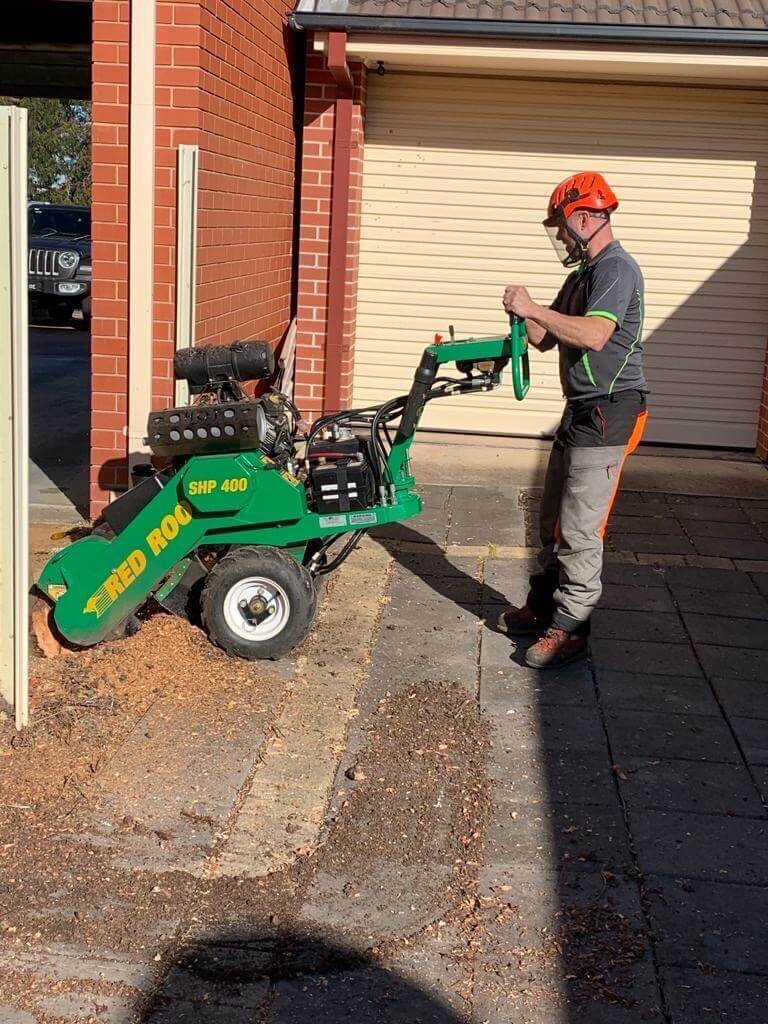 Evergreen Tree Services SA-Stump Grinding-001