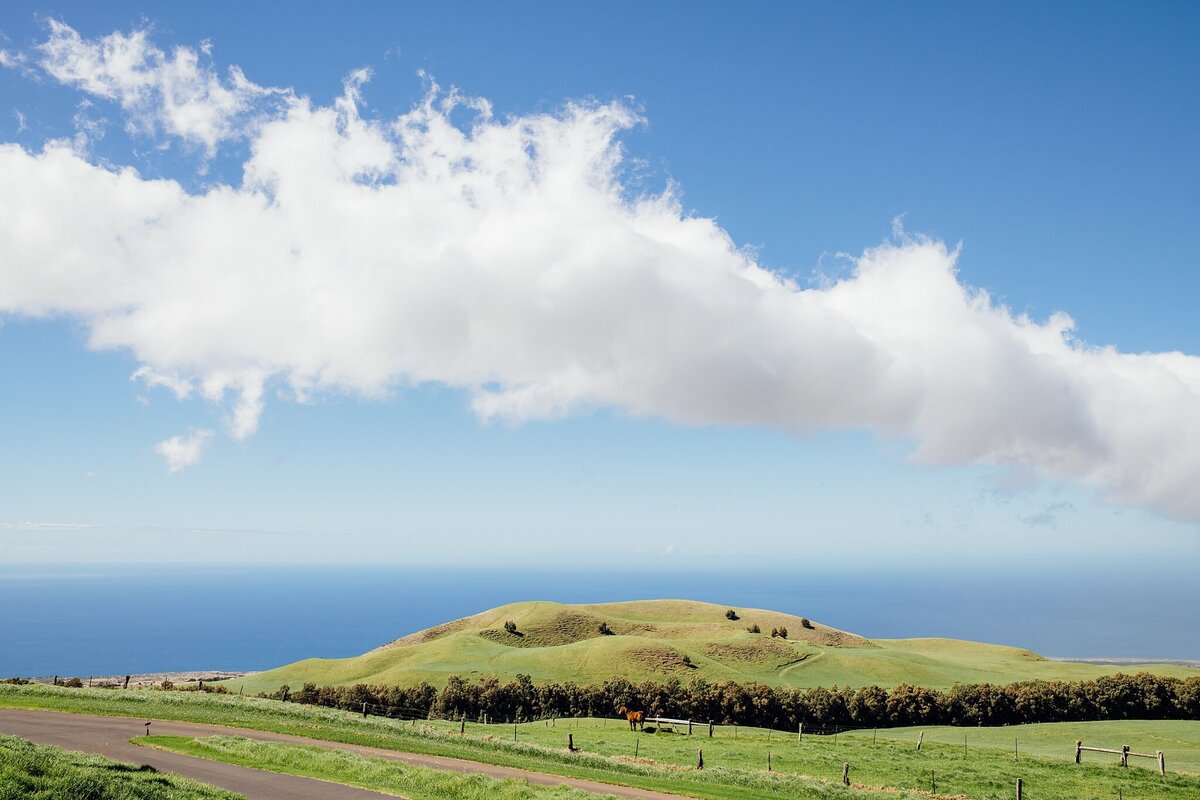 views of pacific ocean from kahua ranch