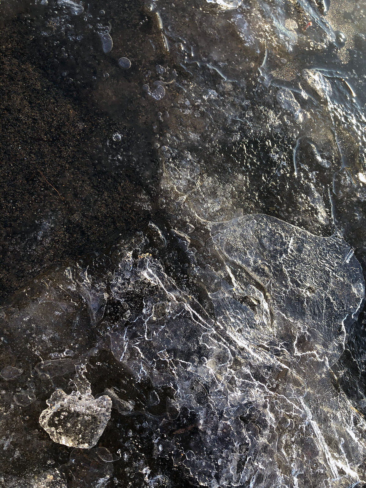 CCC_Estuary_30