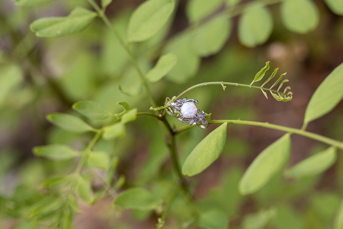 asheville-north-carolina-nc-engagement-session-surprise-proposal-photographer_0135