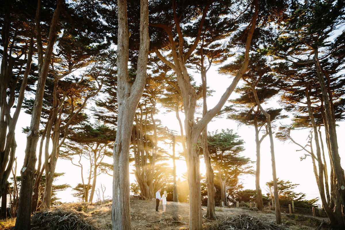 024-larissa-cleveland-engaged-wedding-san-francisco-california-laurie-arons-shannon-leahy-024