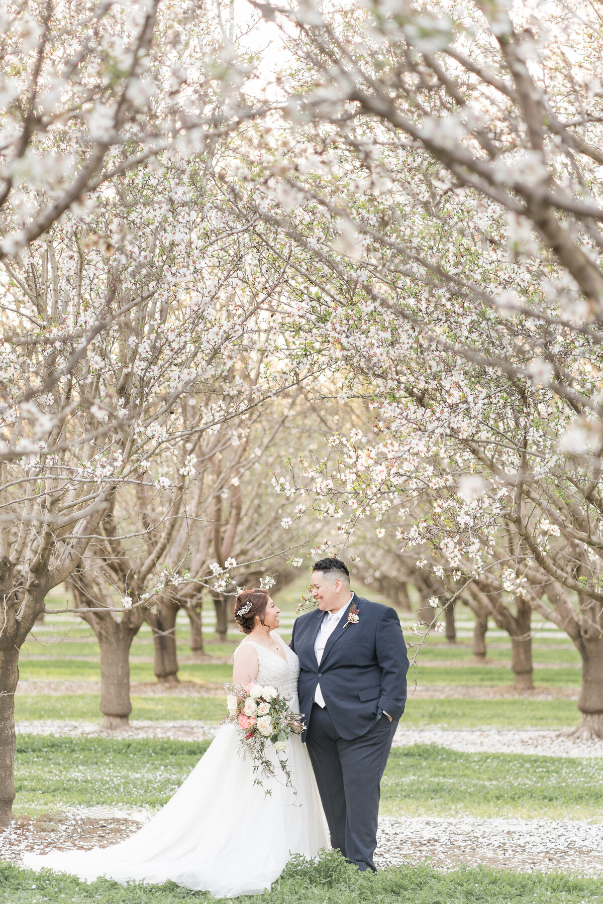 California-Almond-Blossom-Wedding-014
