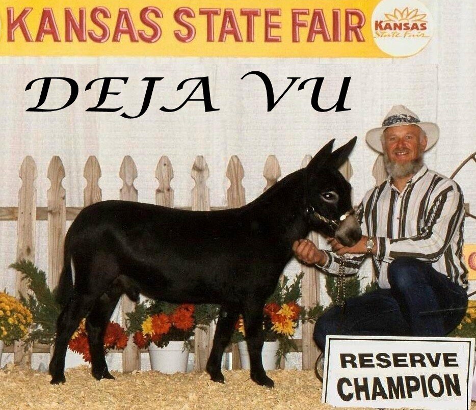 Deja Vu Res Ch