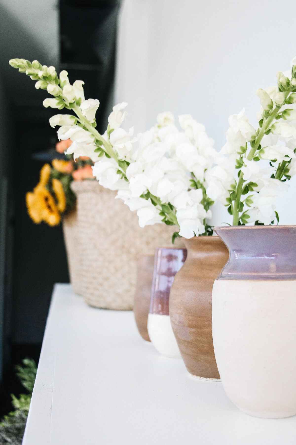carrie-beth-williams-cLGDM567PqA-unsplash