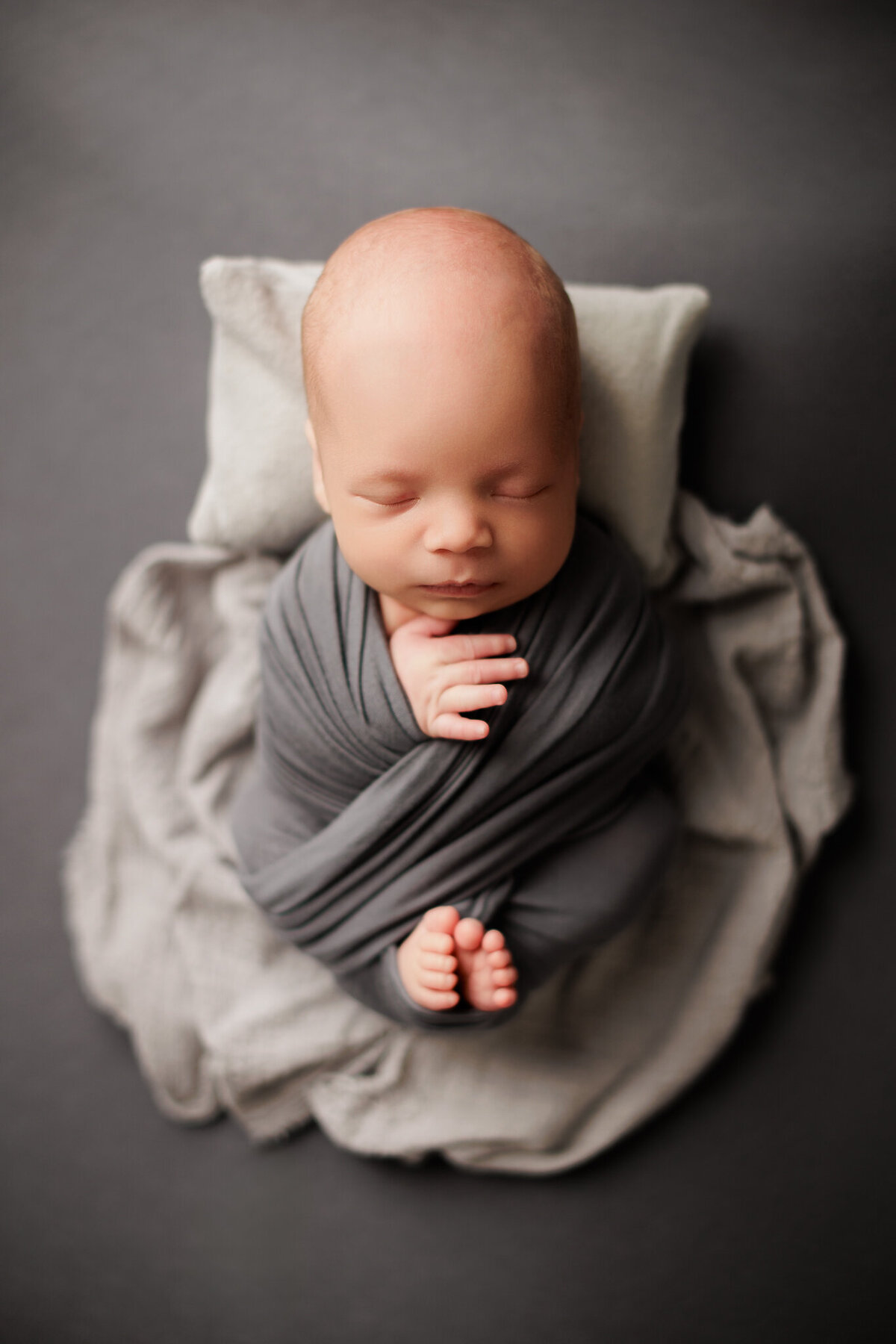 NWA newborn photographer, newborn portraits NW Arkansas