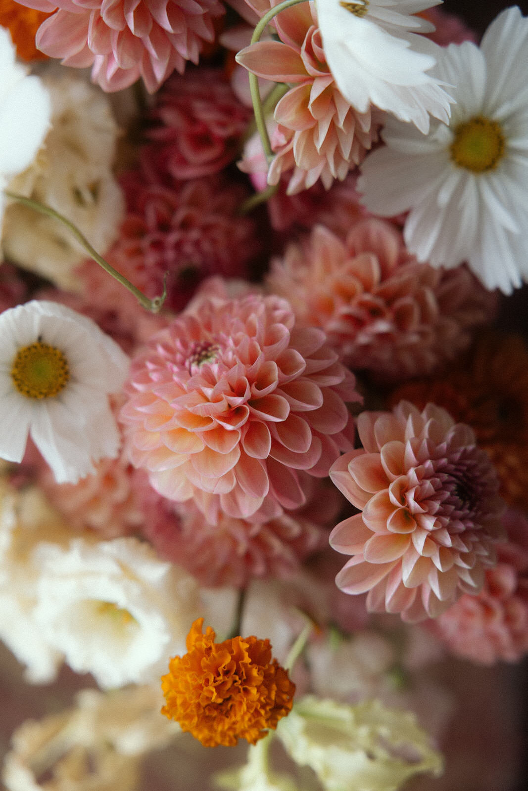 chic-luxury-garden-wedding-love-gatherings-ireland (17)