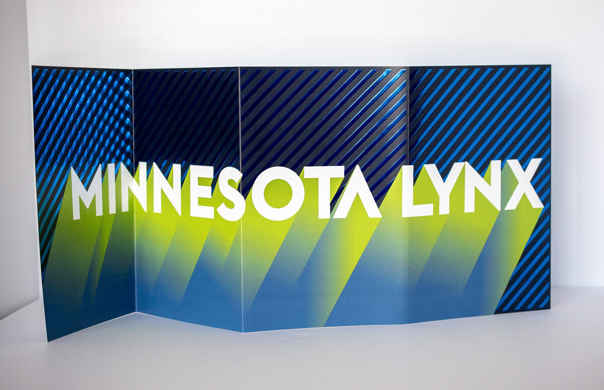 Lynx_Renewal_Piece-5