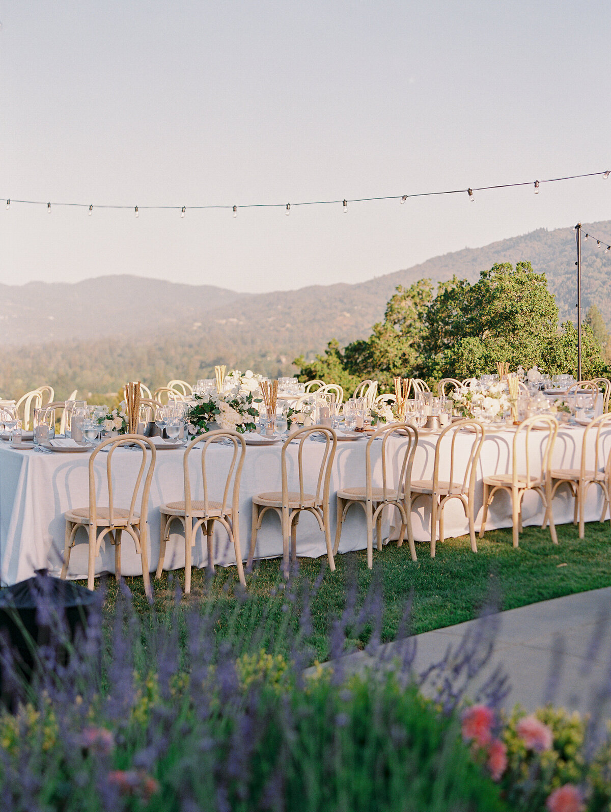 sand colored bistro chairs with purple lilac and modern place settings
