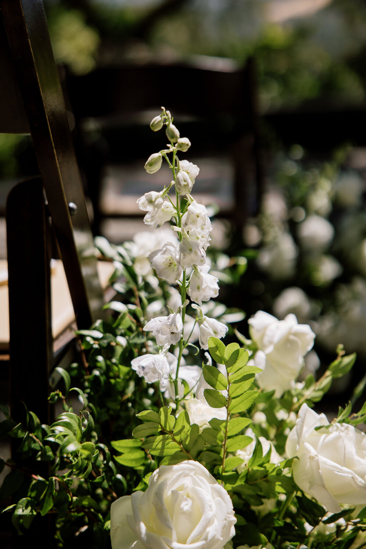 NatalieMax-Wedding-crystalkphotos-239
