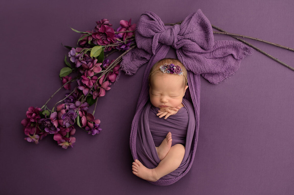 boston newborn photographer art