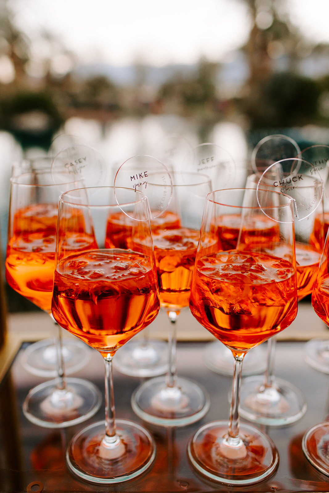 bougainvilleaestatewedding-shelby.matt-ashgabesphotography-673_websize