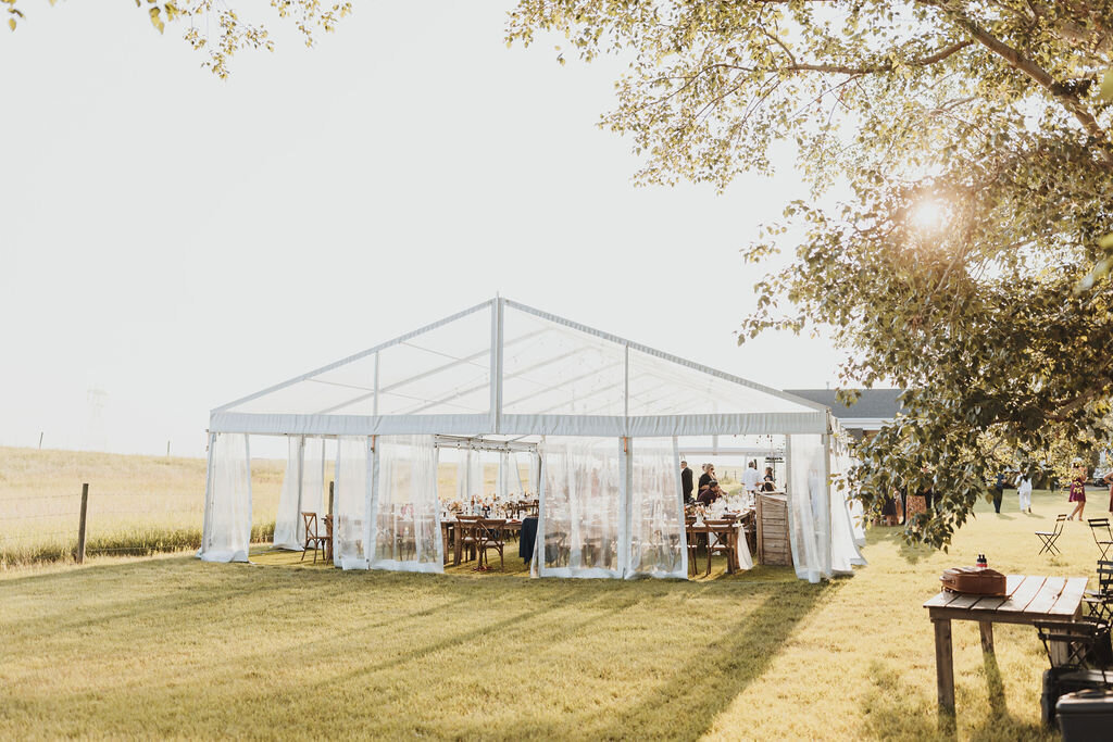 D&Cwedding-895