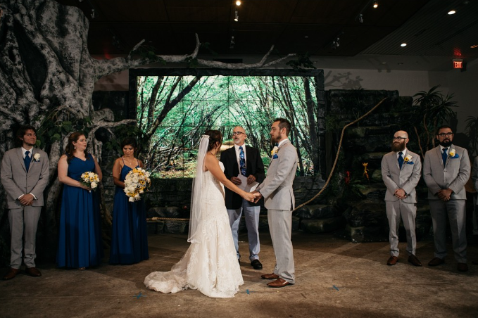 Wedding at National Aviary, Pittsburgh, PA