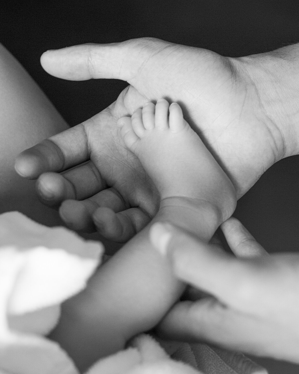 baby foot captured beautifully by Daisy Rey Photography