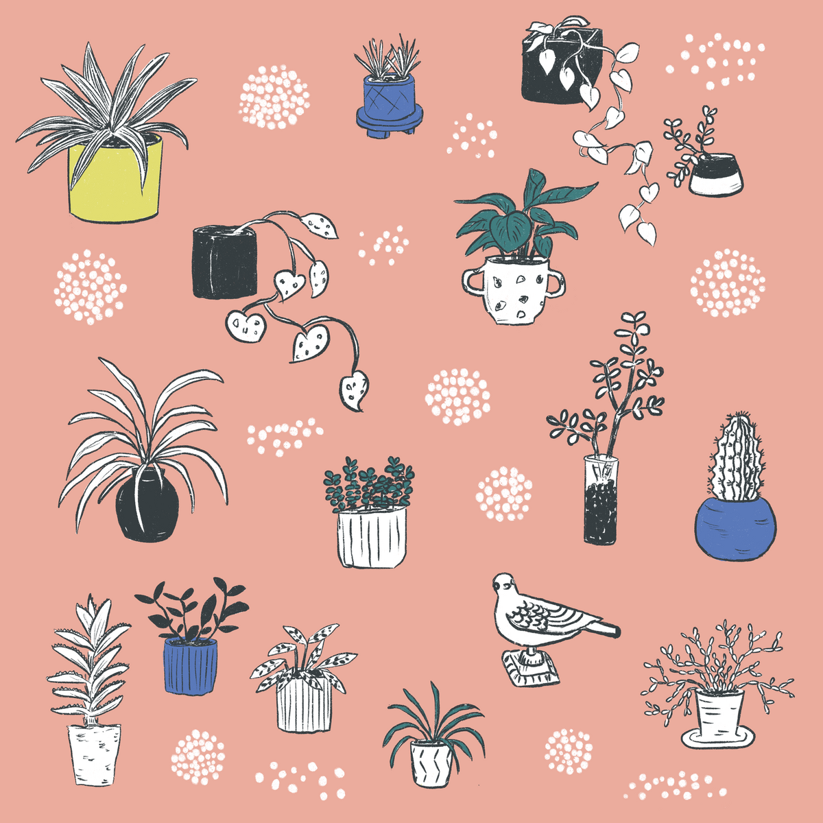 houseplants