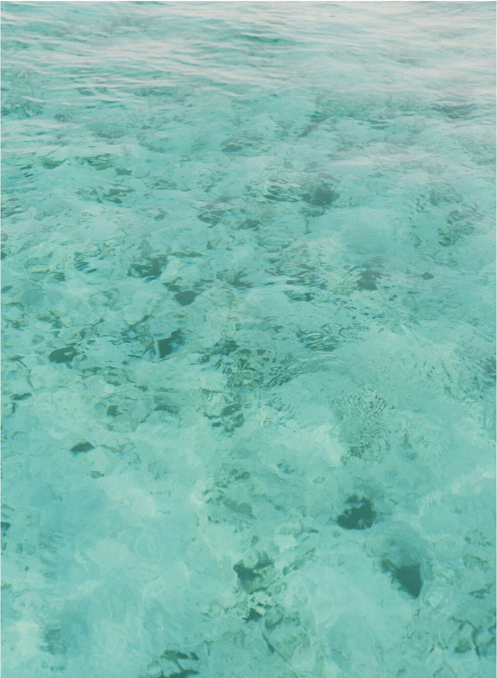 Maldives Sea