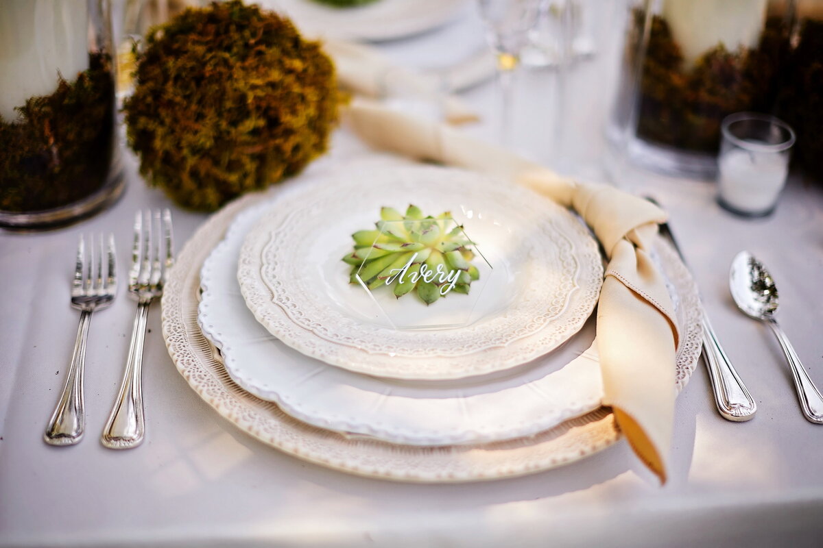 succulent-wedding-reception-dinner-setting
