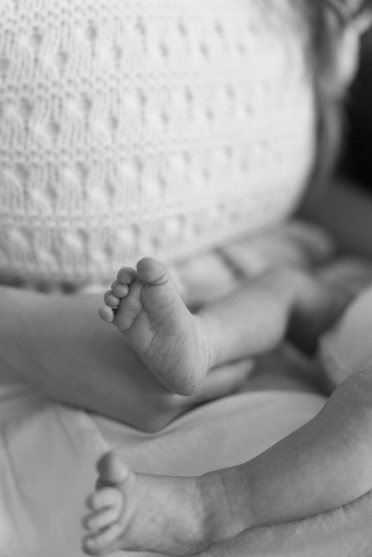 Lena Newborns-73
