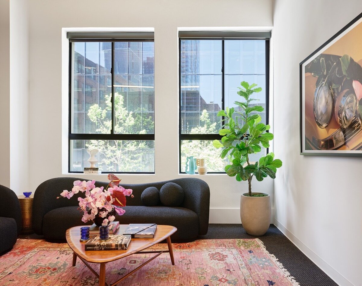 Audacious San Francisco Interior Design by An Affair With Color 14 Large