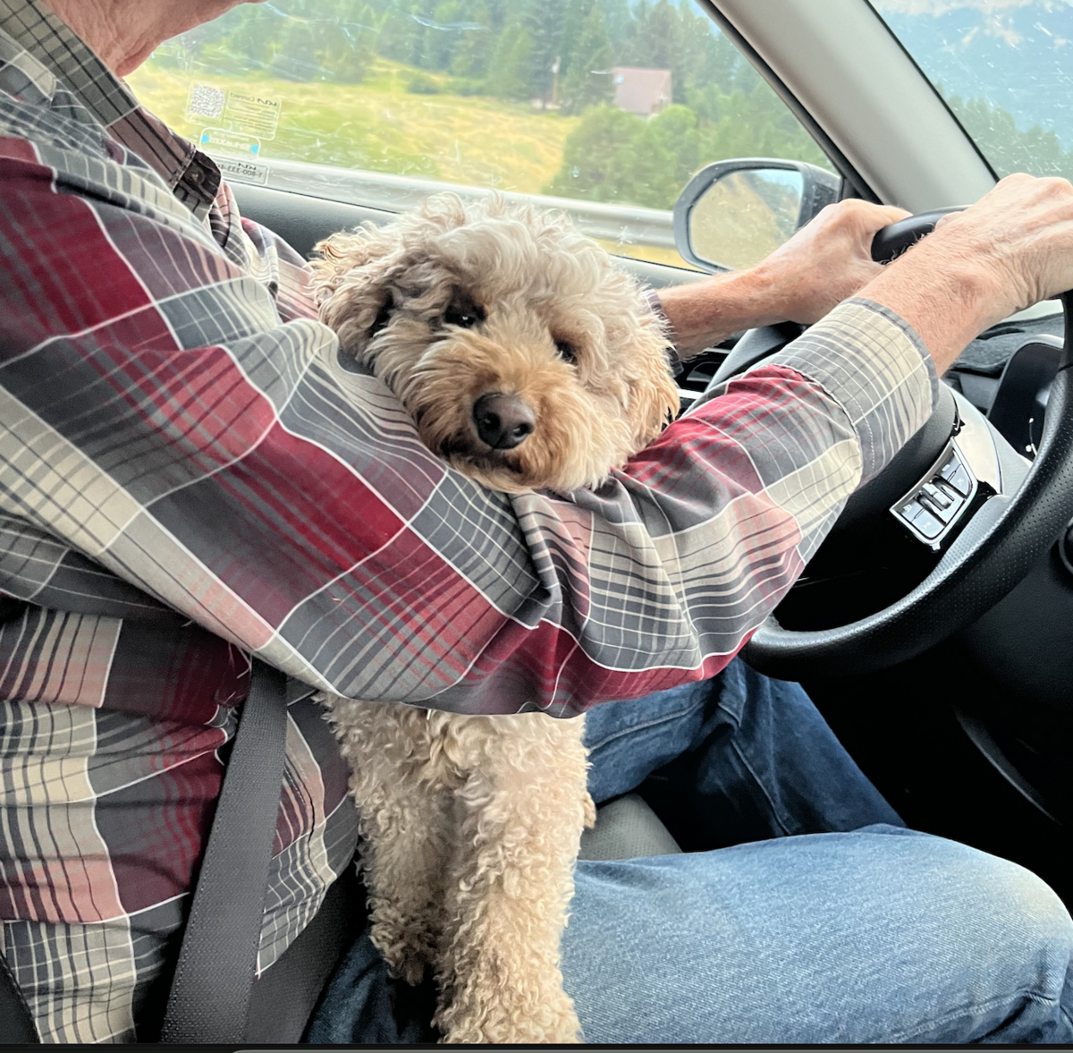 Screenshot 2024-08-27 at 12.30.50 PM