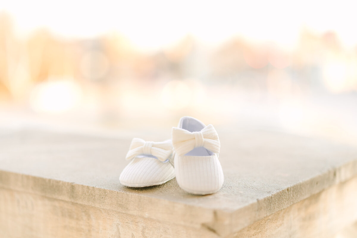 Sanderson Maternity-128
