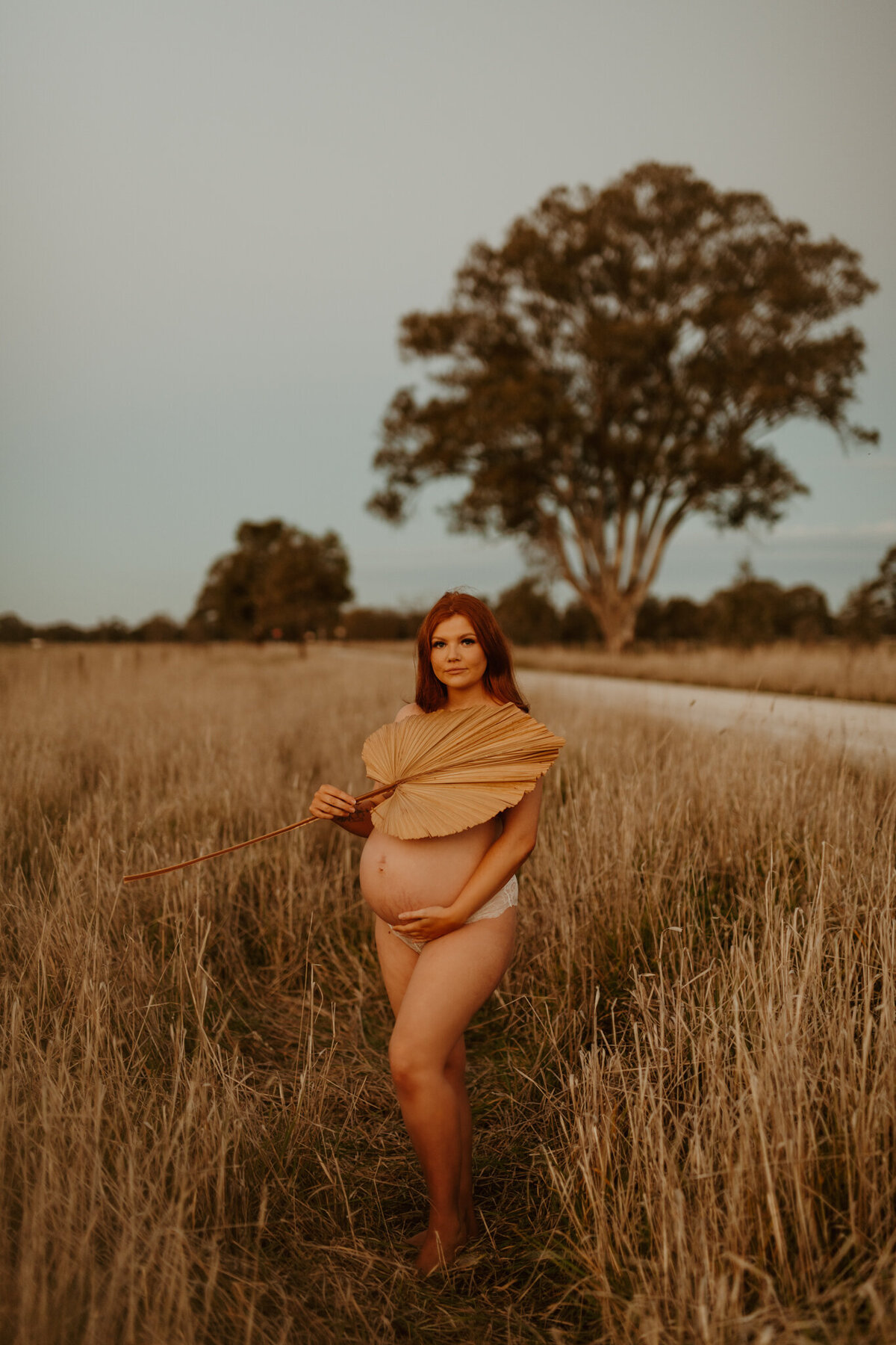 Jayde Creative Co-5590