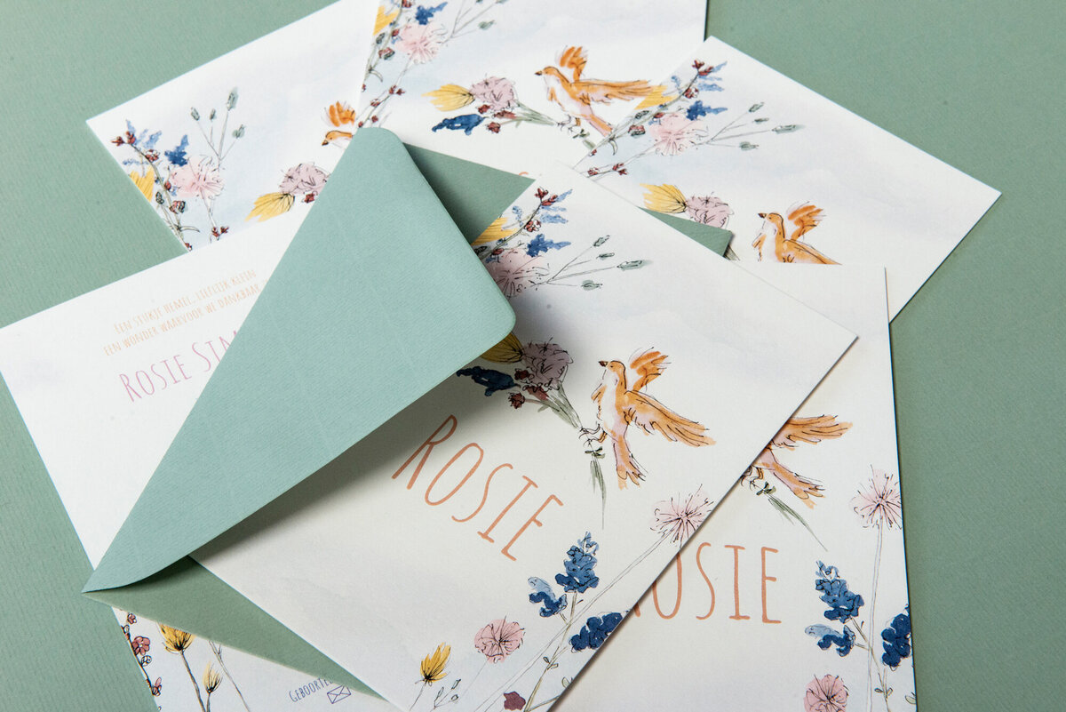 Geboorteconcept_Rosie_4