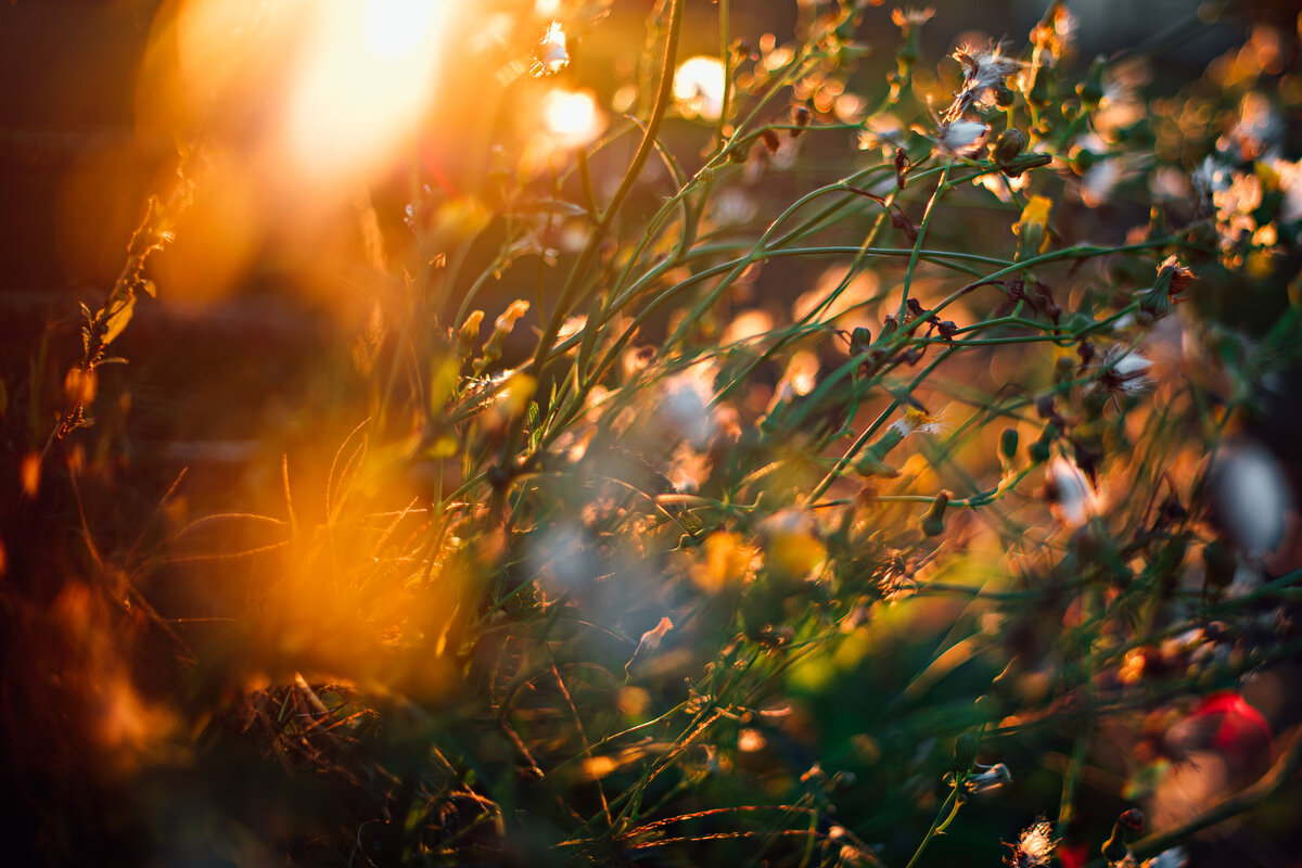0L6A5791-Edit