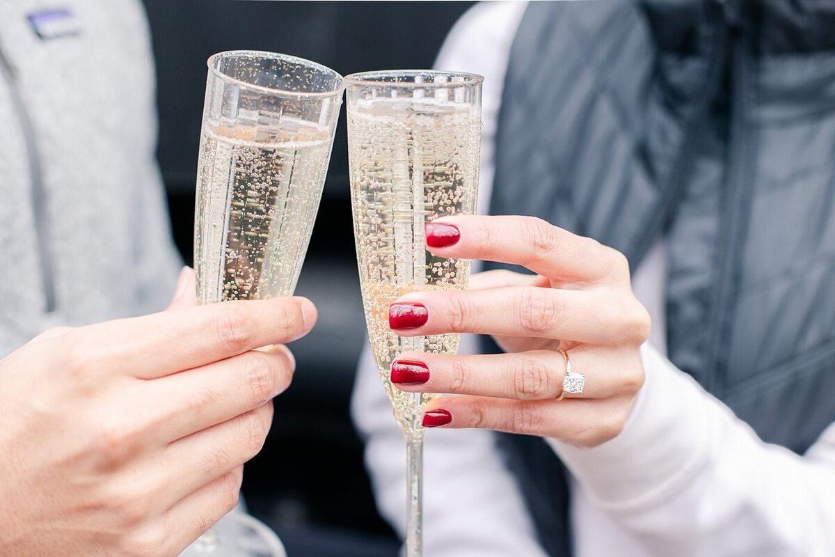 Patel Proposal_0056