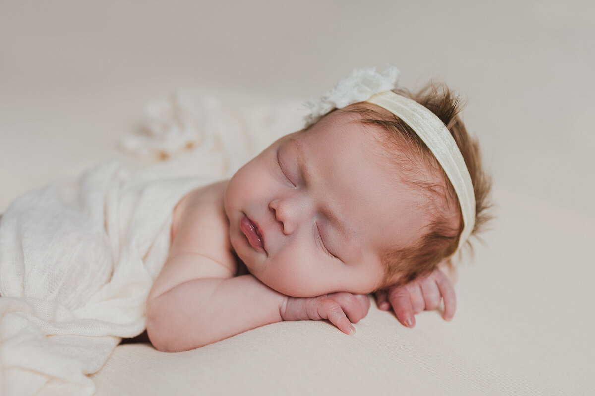 newborn photos indianapolis