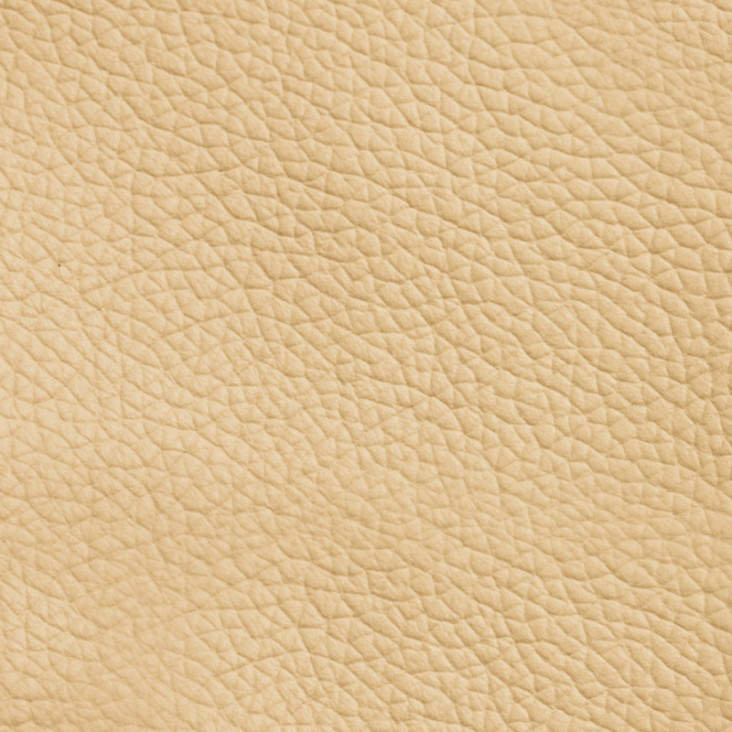 Wheat