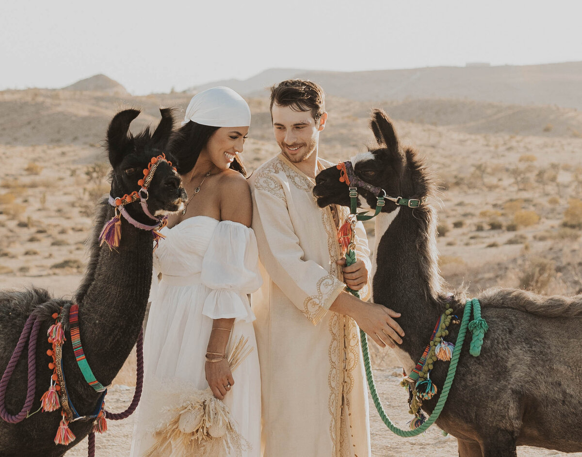 couple laughing with llamas on their wedding day