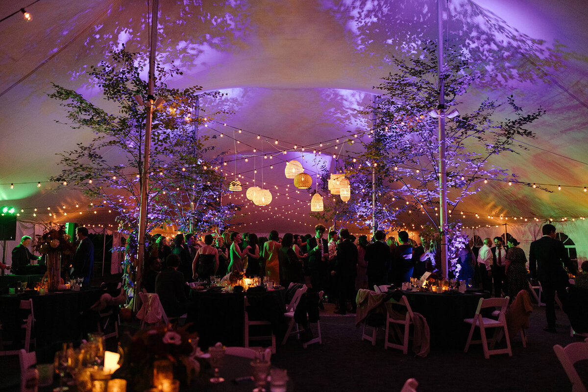 massachusetts-wedding-venue-tanglewood-new-york-photographer-sava-weddings-1054_websize