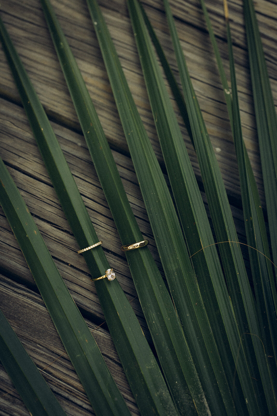 wedding-ring-details-kiawah-island