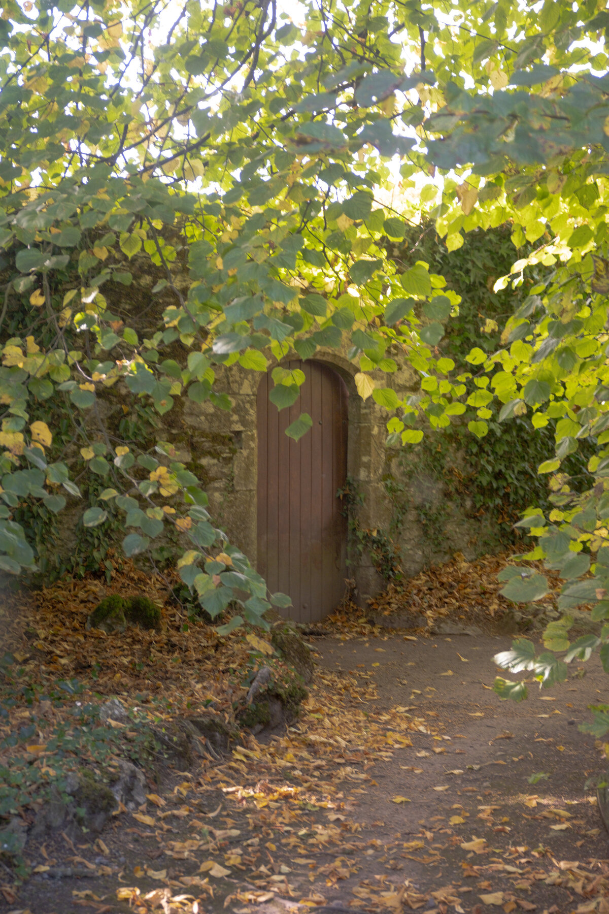 DSCF1343