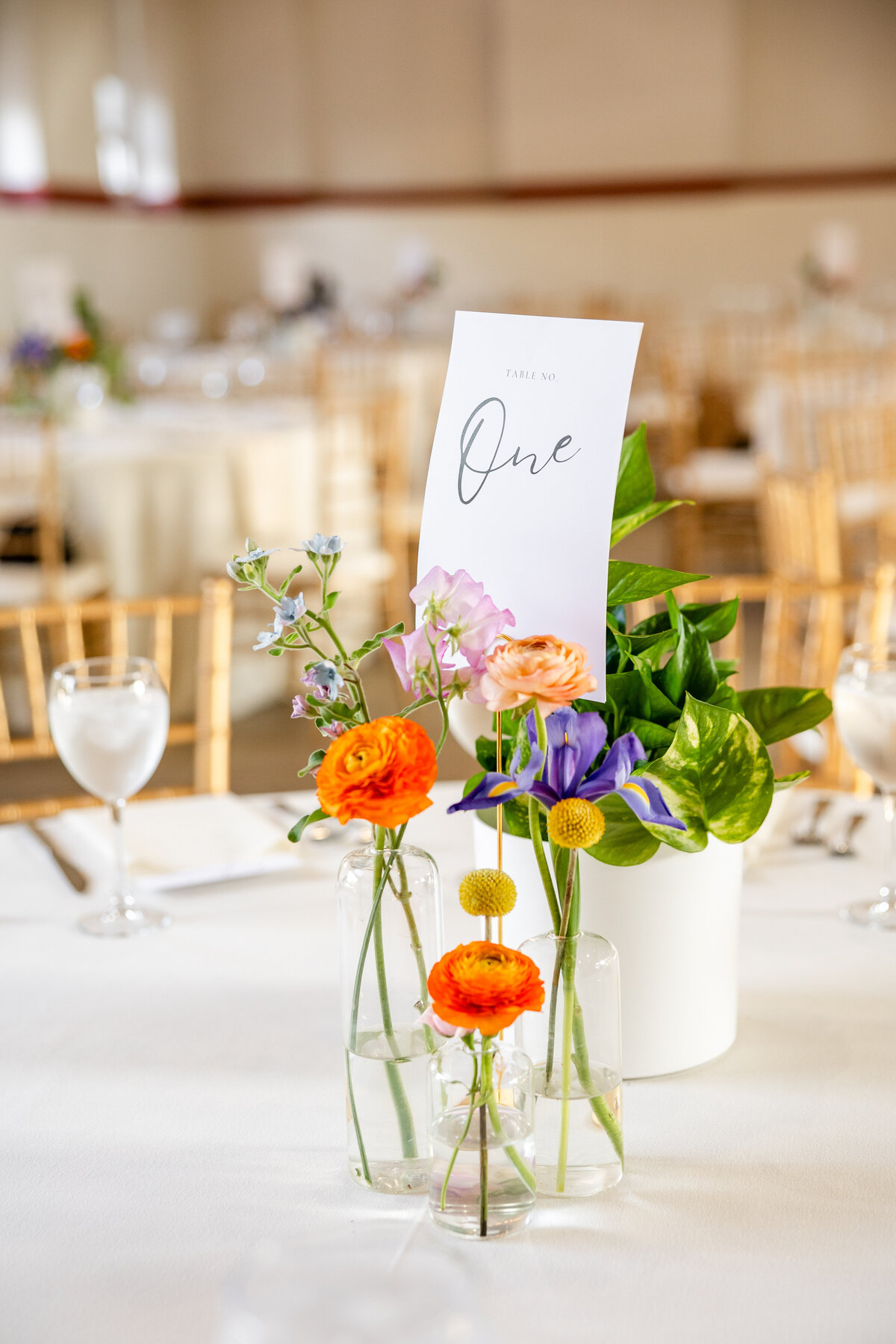 TrepicchioWedding-1079
