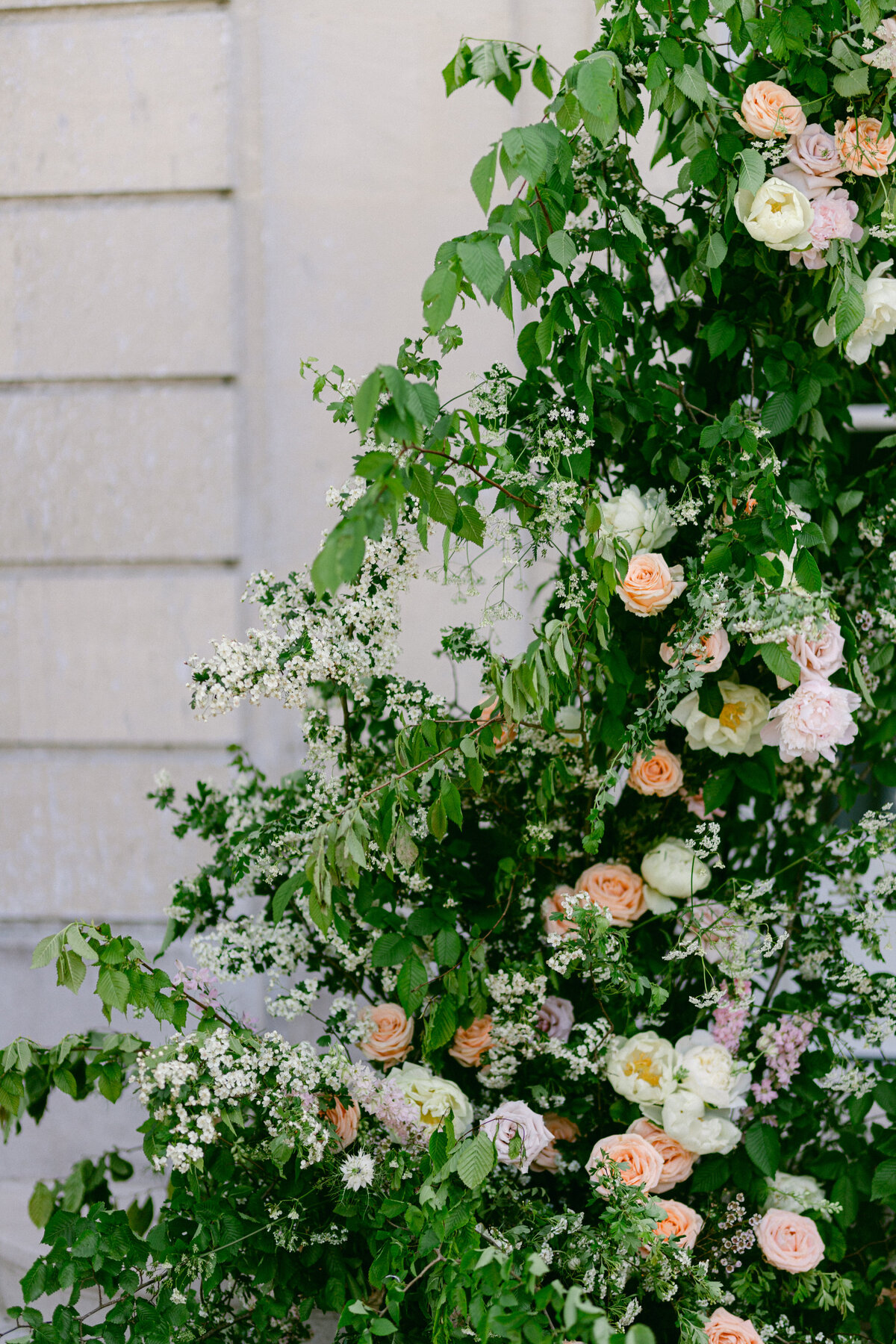 will-valeria-des-monts-7497